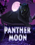 สูตร บา คา ร่า ดี ที่สุด เพิ่มโอกาสคว้าแจ็คพ็อตใหญ่